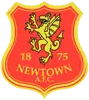 纽顿